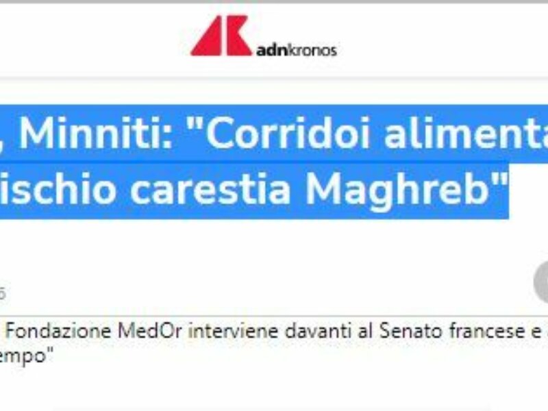 ADNKronos - Ucraina, Minniti: "Corridoi alimentari contro rischio carestia Maghreb"