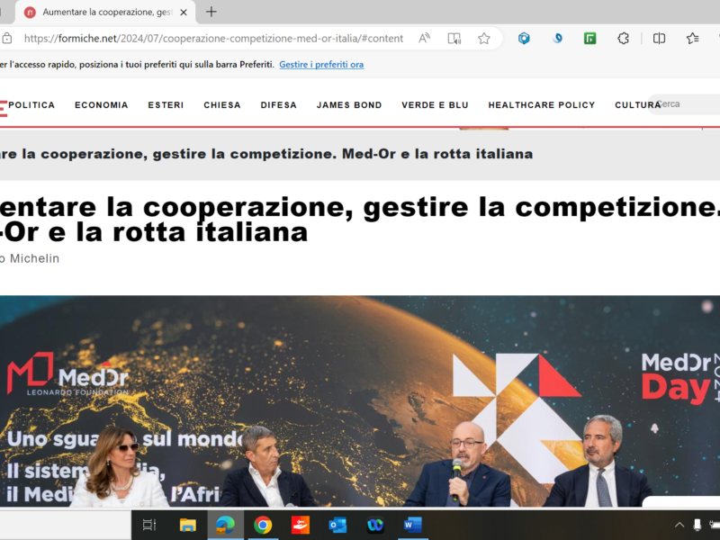 Formiche - Aumentare la cooperazione, gestire la competizione. Med-Or e la rotta italiana