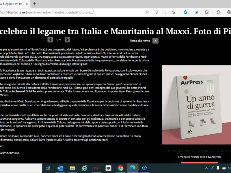 Formiche - Med-Or celebra il legame tra Italia e Mauritania al Maxxi. Foto di Pizzi